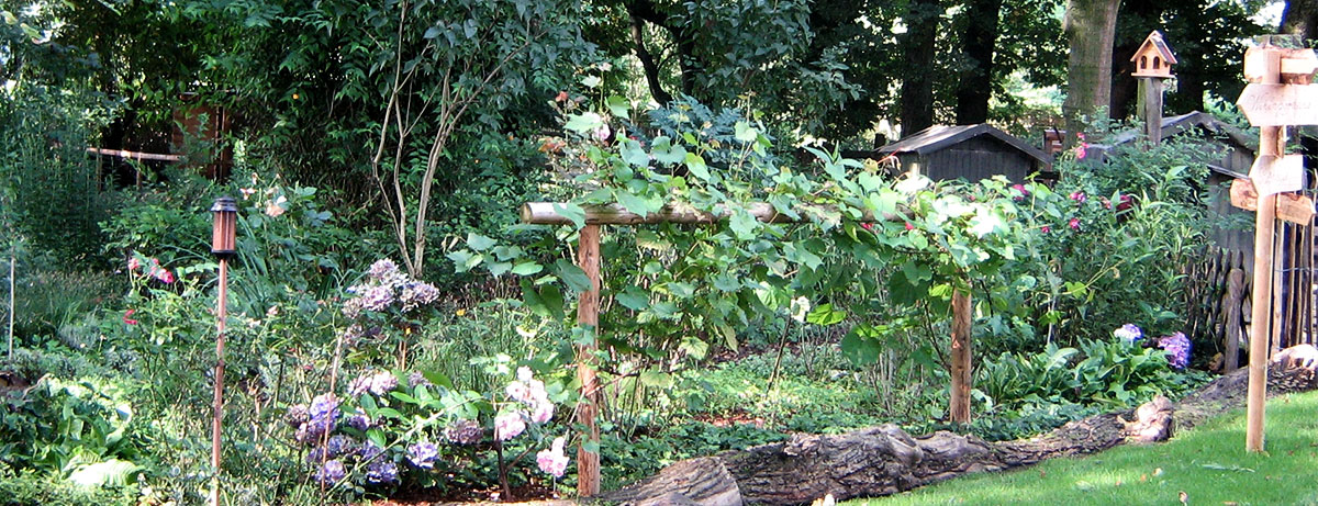 Foto vom Bauerngarten