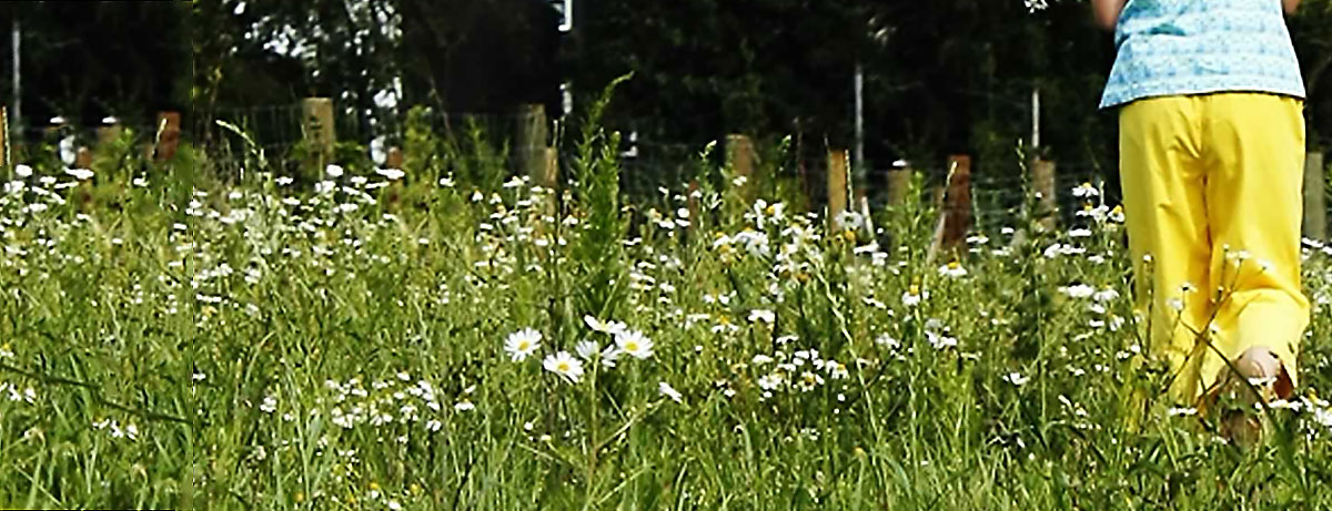 Foto von Kind auf Wiese