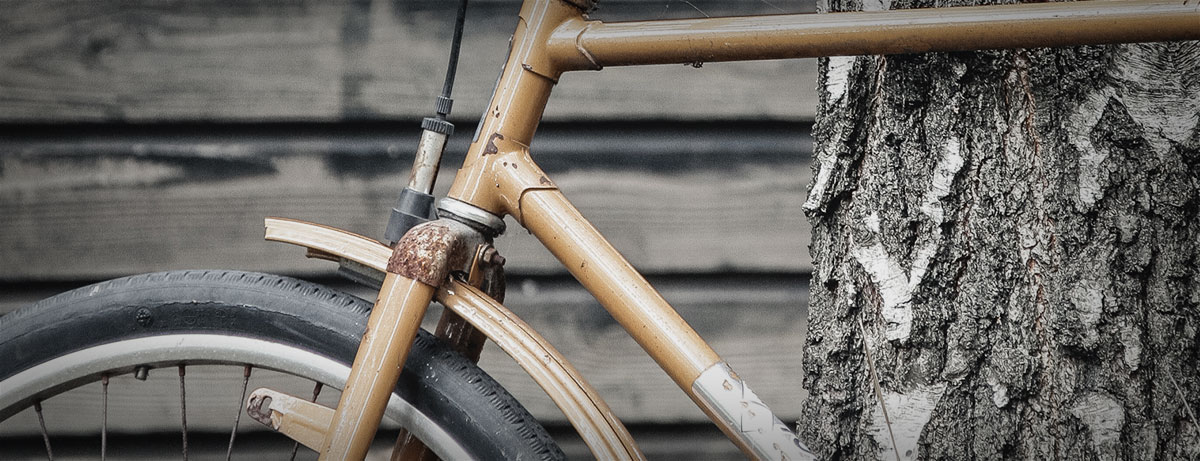 Foto Fahrrad vor Baum